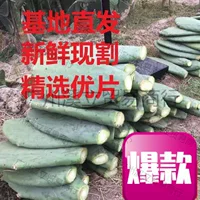 Кактус можно использовать в медицинских целях, съедобный, его можно использовать для красоты, внутреннего и наружного применения, для орошения кожи, в горшках, для внутренней прививки суккулентов.