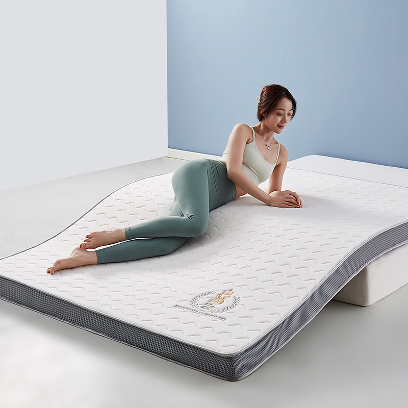 Cama de látex antibacteriana de algodón de punto de clase A, alquiler de arroz, dormitorio doméstico, tienda de estudiantes, fábrica de cojines al por mayor