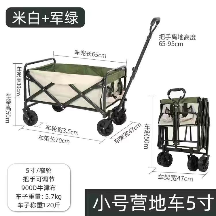 5 인치 2 색