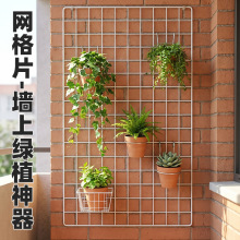 网片网格置物架铁网架绿植墙绿植风植物墙网格片挂墙绿植养花神器
