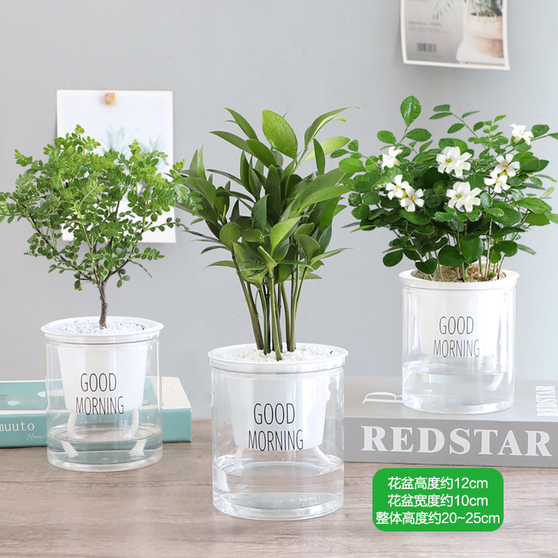 [향기로운 향기 모기 구충제] 향기로운 나무 + 구리 향 + 대나무와 편백 + 무료 비료