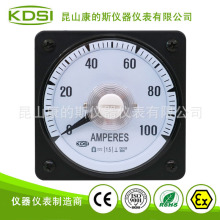 KDSIָʽֱLS-80 DC10V 100A V240@ʾ Ãx