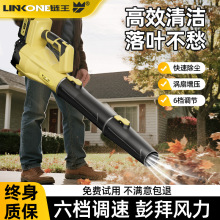 �羳﮵�ʽ�����ǿ����������ʹ�ҵ�綯������ķ��������ѩ
