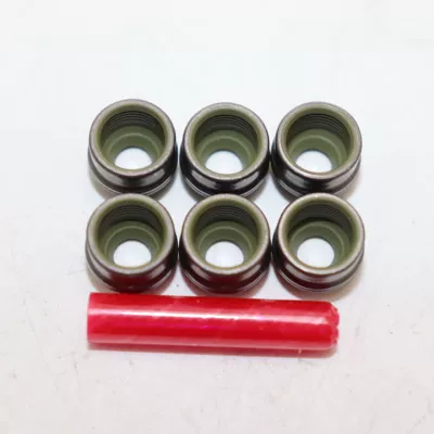 Oil seal Oil Seal (6