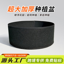 �羳��ֲ���߲˷Nֲ�������ë�ַNֲͰ�ش�̖����o�����Nֲ��