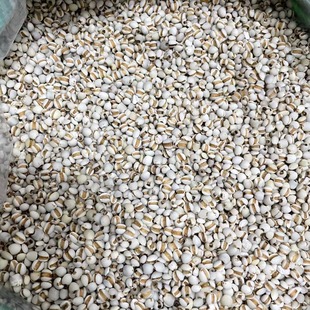 �F��ɢ�b500g޲���� ��؛޲��������s�Z �V�|�Ҝ��� ޲�ײ�ԭ��