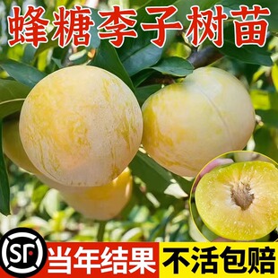 �������Ә���޽��ش�����Ó��������ӹ������ϱ����N���A�����