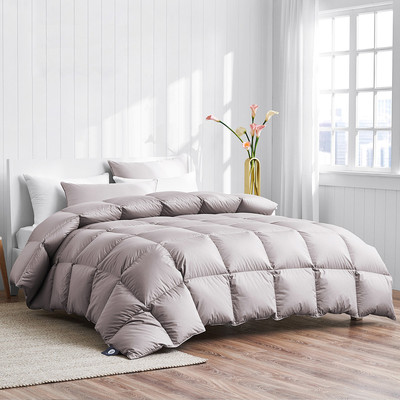静音95%雁鹅绒春秋单人被芯冬季被子