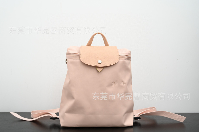 莞产跨境骧家双肩包轻便休闲旅行防水背包女式手提书包2025新款|undefined