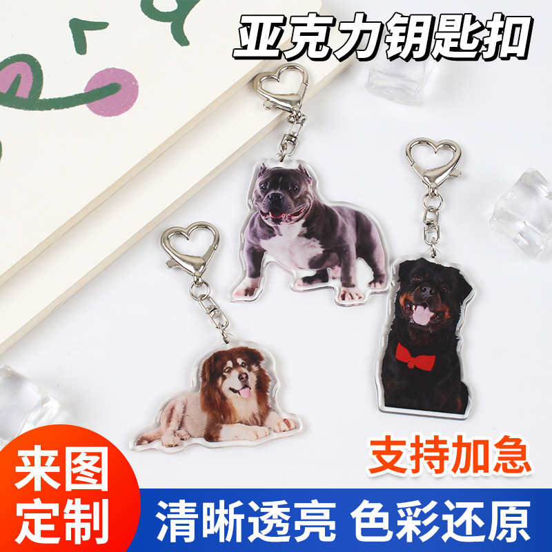 Acrylic Keychain Custom Pet Cat and Dog Photo DIY Keychain Cartoon Anime Star Peripheral Pendant
