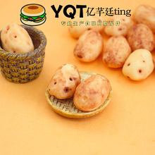 YQT�������������R�������DIY�����ֹ������NС�[��ʳ���֬���