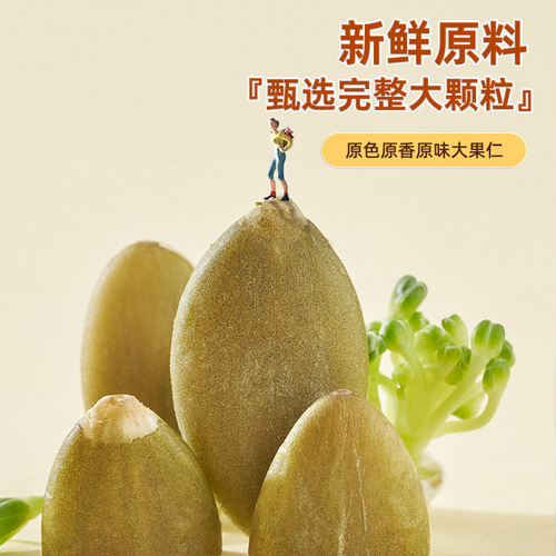 Supply large-particle sunflower seed kernels 500g/can, original flavor sunflower seed kernels wholesale