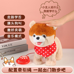 メーカーの卸売り牽引縄は犬を舐めて舌を勉強します。