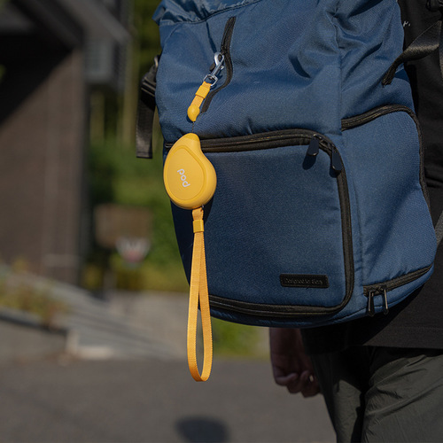 Simple and Portable Mango Retractable Dog Leash, Small Dog Specific, Suitable for Teddy and Schnauzer