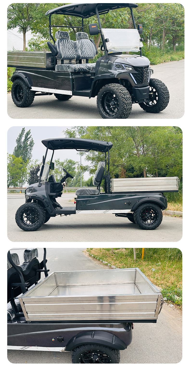 2-Seater Electric Golf Cart, 4-Wheel Golf Cart with Bucket, Electric Sightseeing Vehicle for Tourist Areas