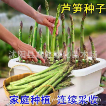 �J�S�N�Ӳ������r�Ҵ����߲˷N���ļ��J�S�����ɫ���ﶬ������