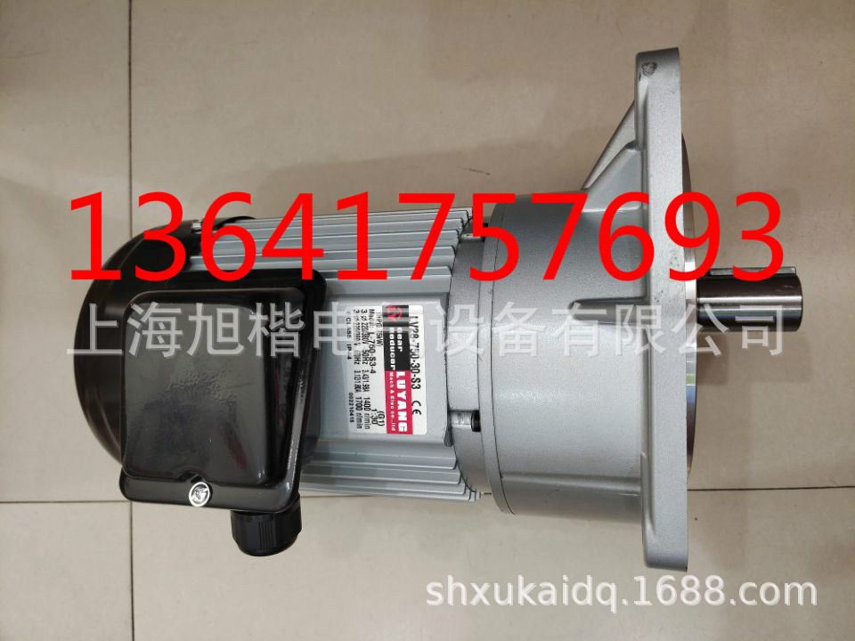 LY电机LUYANG电机LUSON减速机LV28-750-30-S3  L-750-S3-4