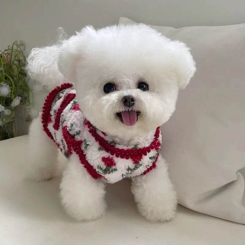 Pet clothes autumn and winter new double-sided plush padded cardigan vest teddy bear dog cat plus velvet coat