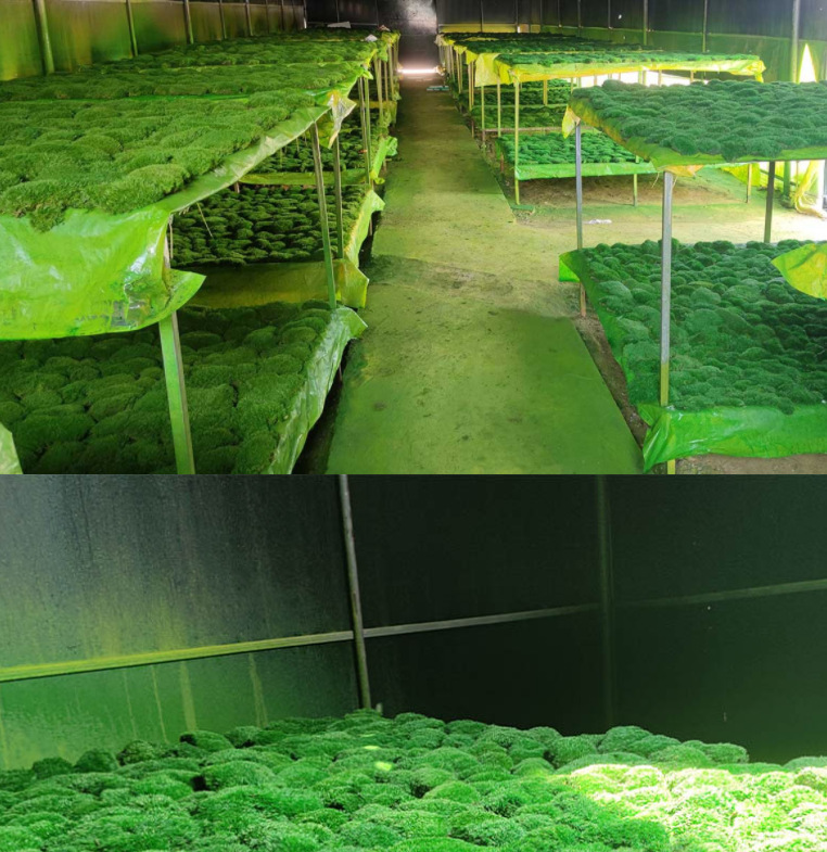 微信截图_20230718170714