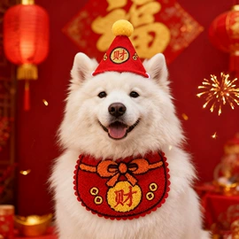 宠物围巾;宠物帽子;猫猫窝/笼/垫