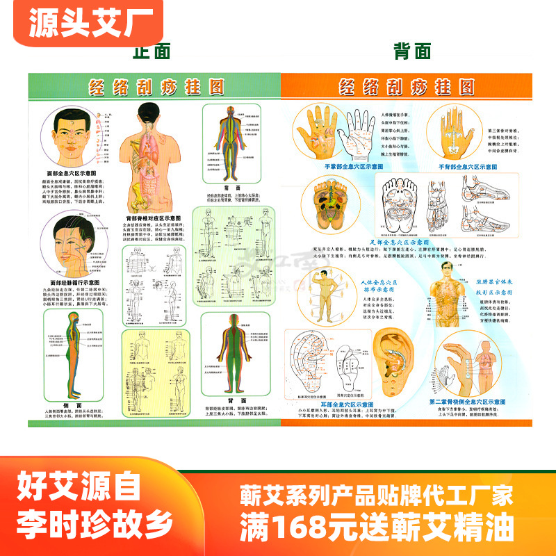 经络刮痧挂图 双面彩色人体穴位图 刮痧图 美容院艾灸馆批发