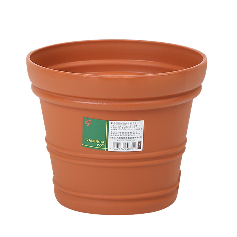 IRIS resina convexa patrón interior redondo maceta balcón jardín Rosa suculenta maceta