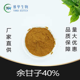 余甘子40% 雅华生物 余甘子多酚 精选余甘子提取 10%-40% 多规格