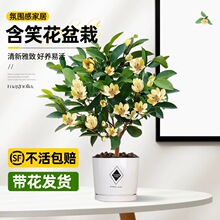 ��Ц�����Ԙ��玧�������m�㽶�������̨ͥԺ�������ļ�����ֲ��