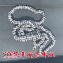 2025_hyһhƷþhhӛ̖hӇȭh