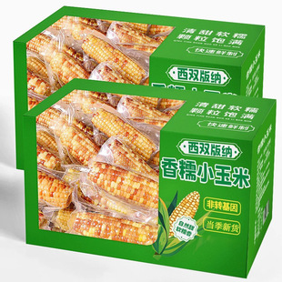 云南滇品客生物科技有限公司