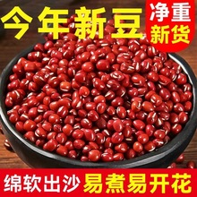 �t��������r����s�Z�ּZ�r����؛�tС����С��޲���ඹ����l