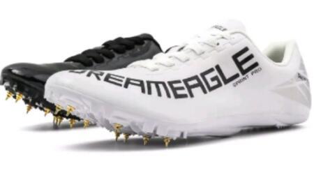 Pato mandarín blanco y negro