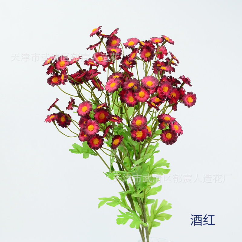 カモミールの単枝30輪の花が国境を越えて起爆した家庭の客間に小さなデイジーベランダの小さな清新な装飾を配置することをシミュレーションした|undefined