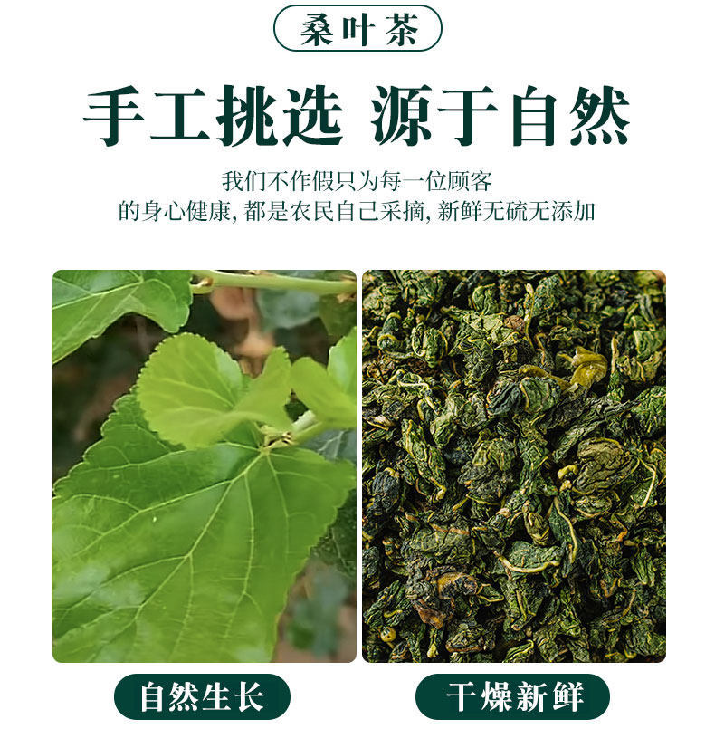 Post-Frost Mulberry Leaf Tea 250g Sang Ye Dried Chinese Herbal Tea Loose Leaves key features