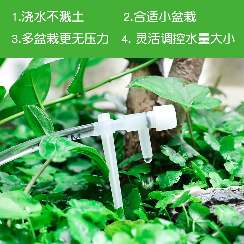 盆栽自动滴水器套装