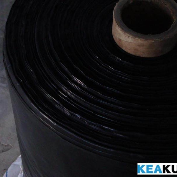 ��Ӧ��Ĥ��ɫ��Ĥ�����ϲ�