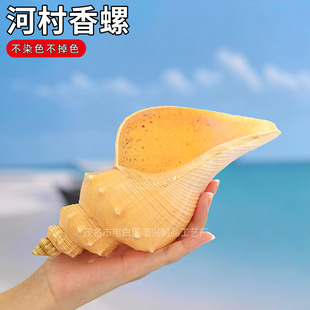��Ȼؐ������ �Ӵ�����  ��ˇƷ�ҾӔ[�����΅^�o��Ʒ�ղ�