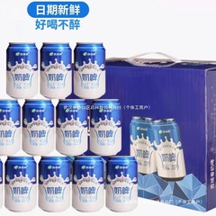 奶啤整箱24 300ml*12瓶整箱酸牛奶网红气泡乳饮料奶味非啤酒其他