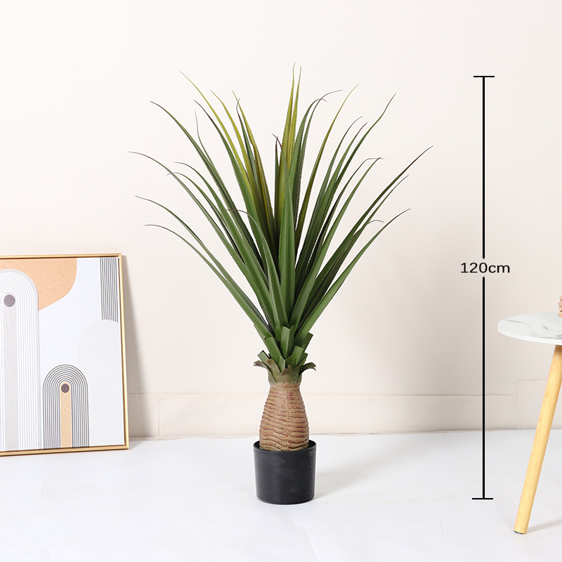 Navegación suave-120cm