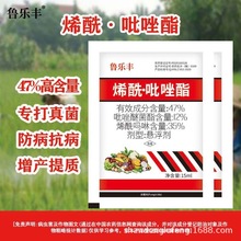 S ϩ˪ù߲̿Ұ׷۵Ȳ