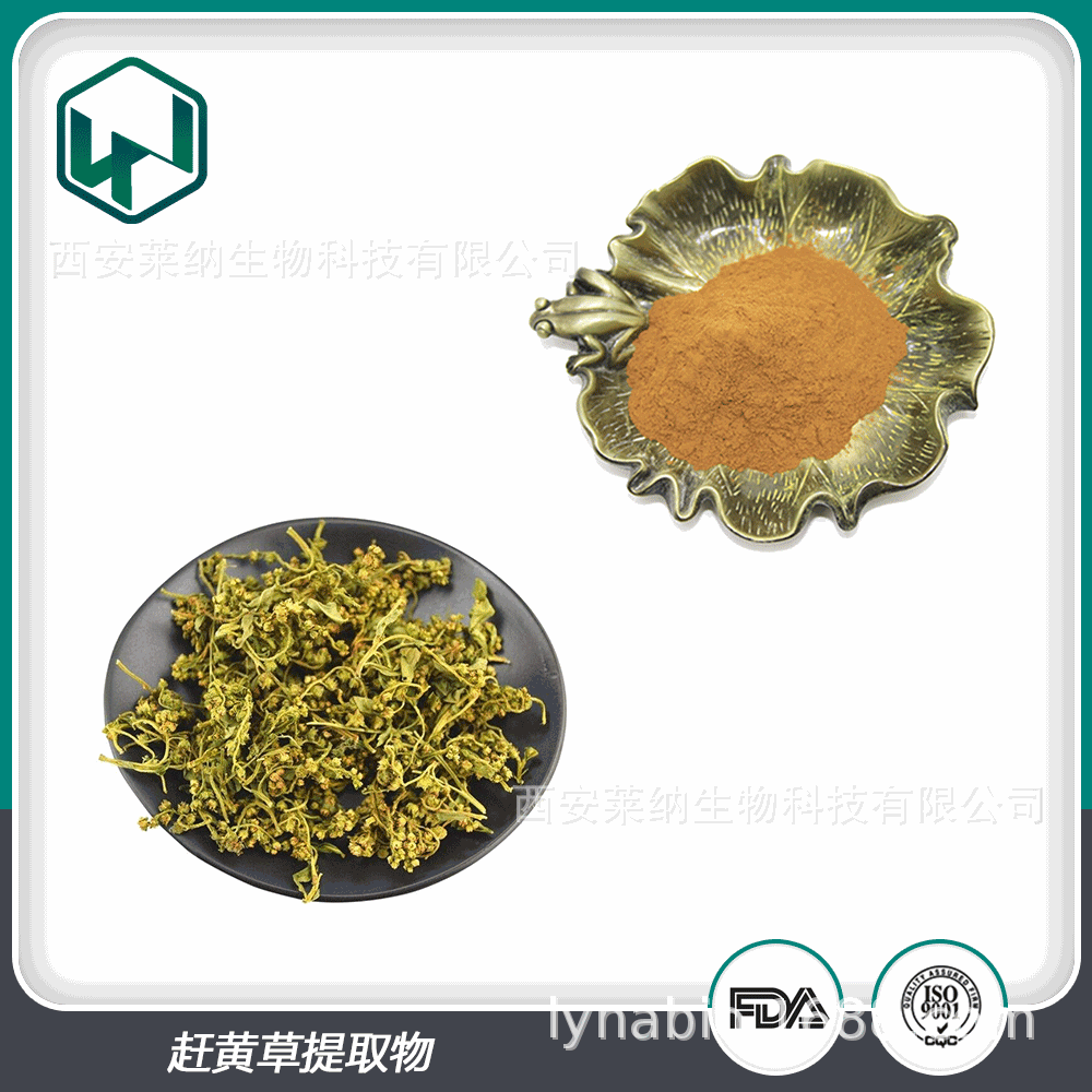赶黄草提取物 20：1%比例提取浓缩植物原料辅料 现货包邮量大从优