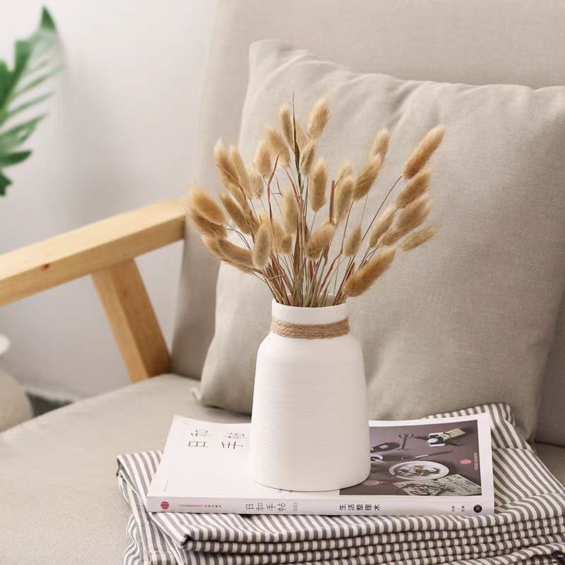 원색 토끼꼬리풀 120송이 한 다발