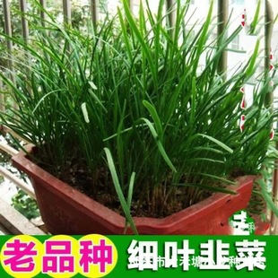 ���yС���~�²˷N�Ӽ��~�²˷N���ļ��ɲ��̨���Կ����N���ո�