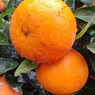 �Fժ�F�l�����Ĵ������ָ̱�Ƥ�����ք����ّ������rˮ��������l