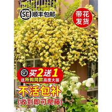 Sľֲļ_ۼtľ㻨绨ܘͥԺ