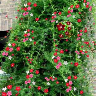 ���~�\�}���N��ͥԺ����ֲ������ǻ������̨�ļ��׷N��