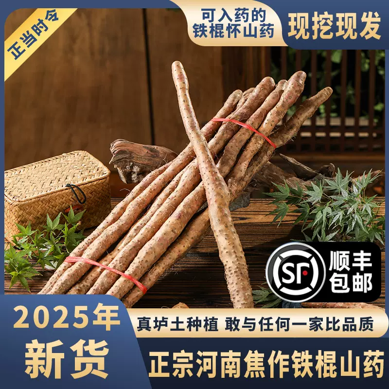垆土新鲜铁棍山药精选焦作垆土正宗怀淮山药1斤装河南特产5件起批