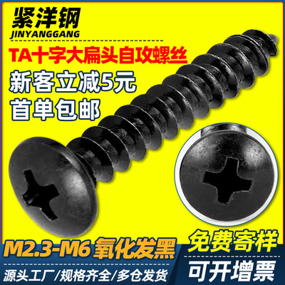 TA黑色十字大扁头自攻螺丝伞头蘑菇头自攻螺丝钉批发M2/M3/M4/M5|ms
