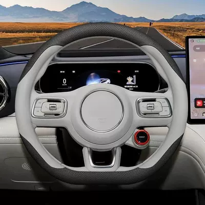 Steering wheel cover — Geely Galaxy TT model: car