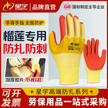 L298ܛzƬ׷̄ɏظɻĥڱ